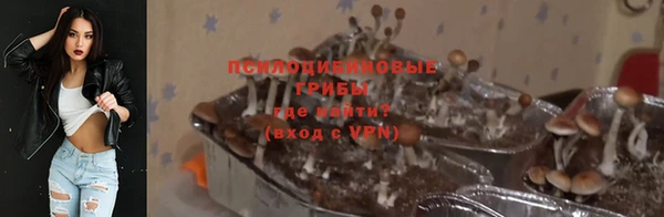 соль ск Каменка