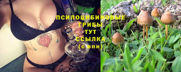 амф Каменск-Шахтинский