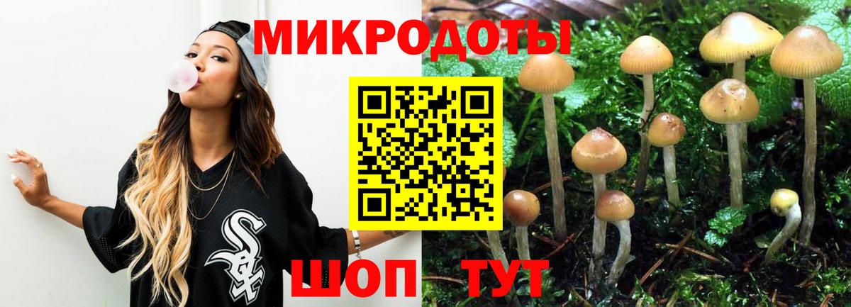 Псилоцибиновые грибы ЛСД Сыктывкар