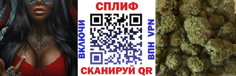 Бошки марихуана конопля Сыктывкар